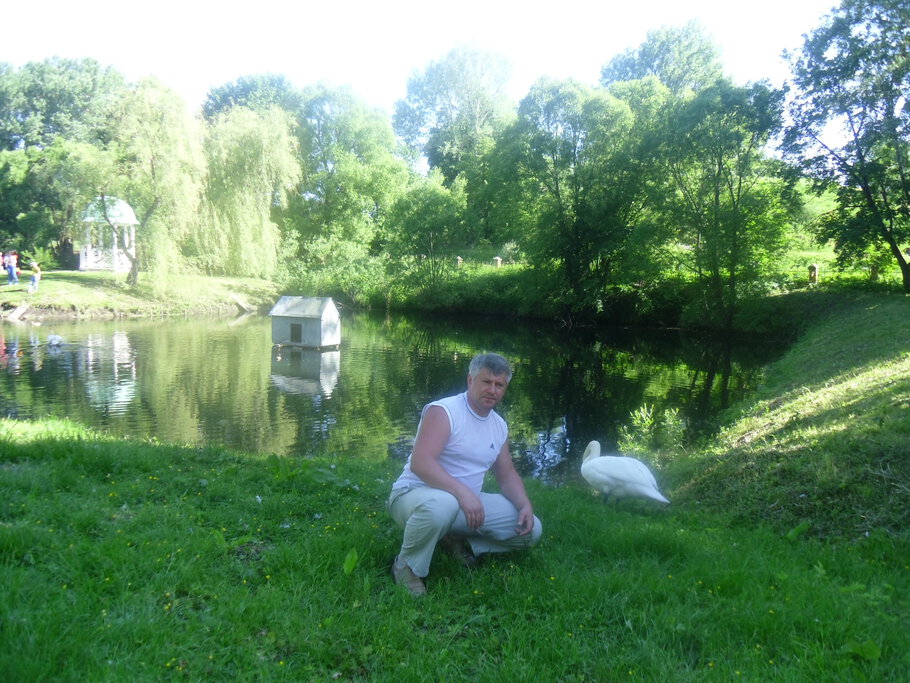 Фото про Дерево и орхидеи