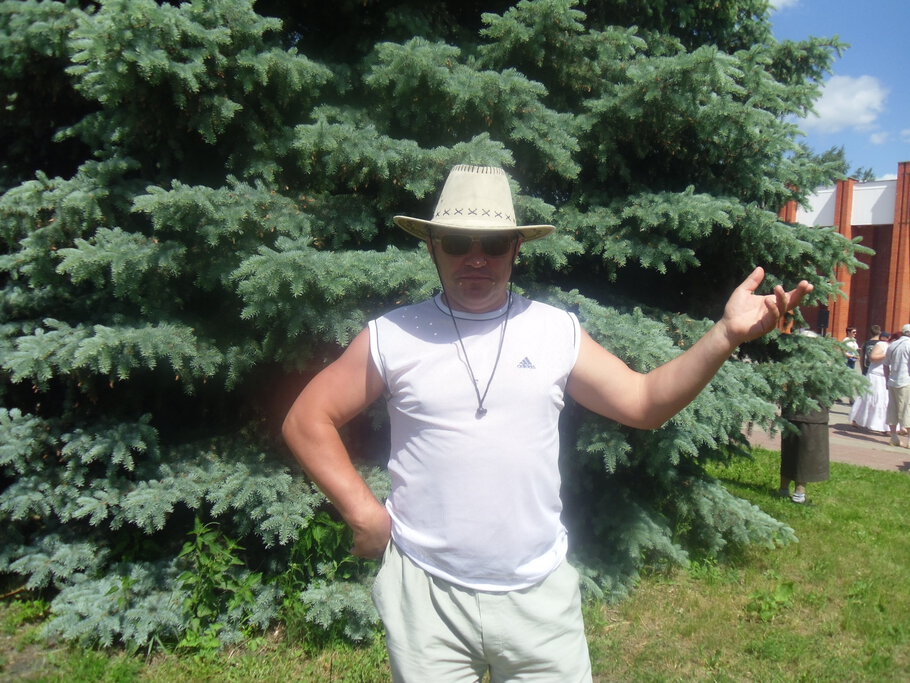 Картинки Дерево и орхидеи