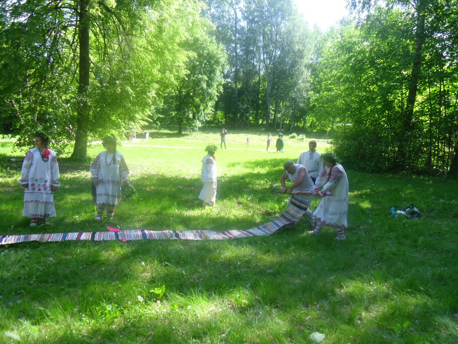 Картинки про Дерево и орхидеи