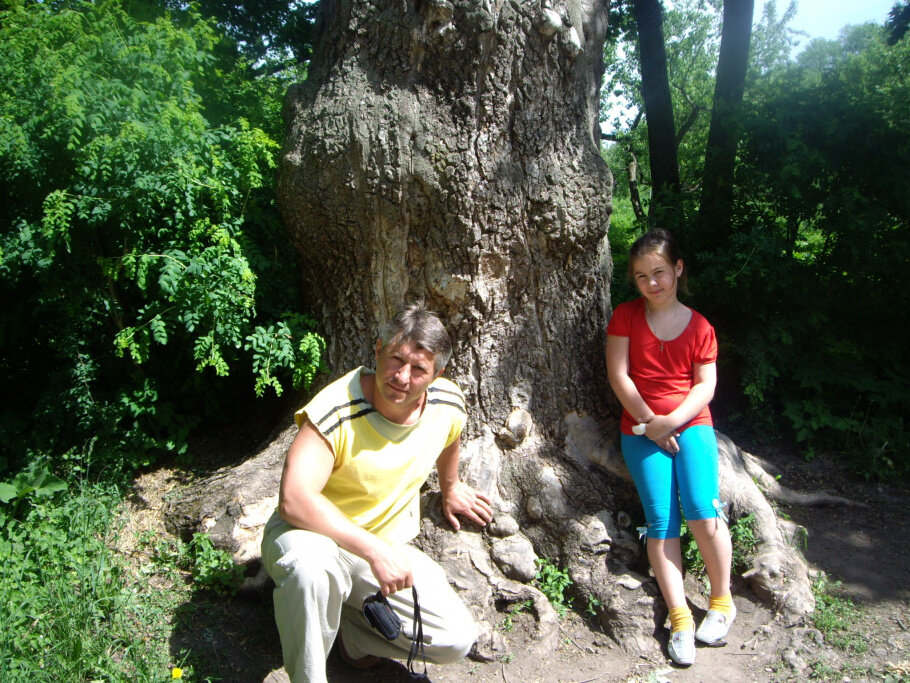 Картинки Медведь