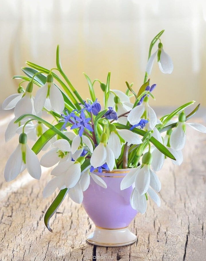 Фото Поездка на тамвае