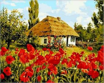 Фото Северная Канада, Торонто