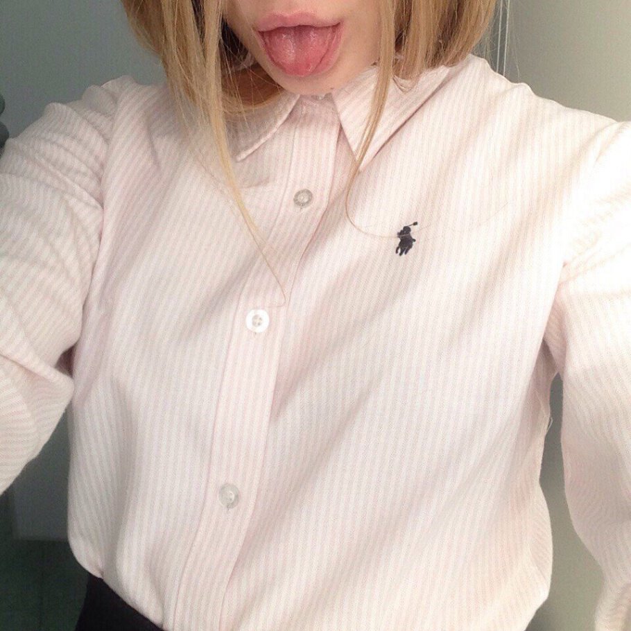 Фото Множество кошек