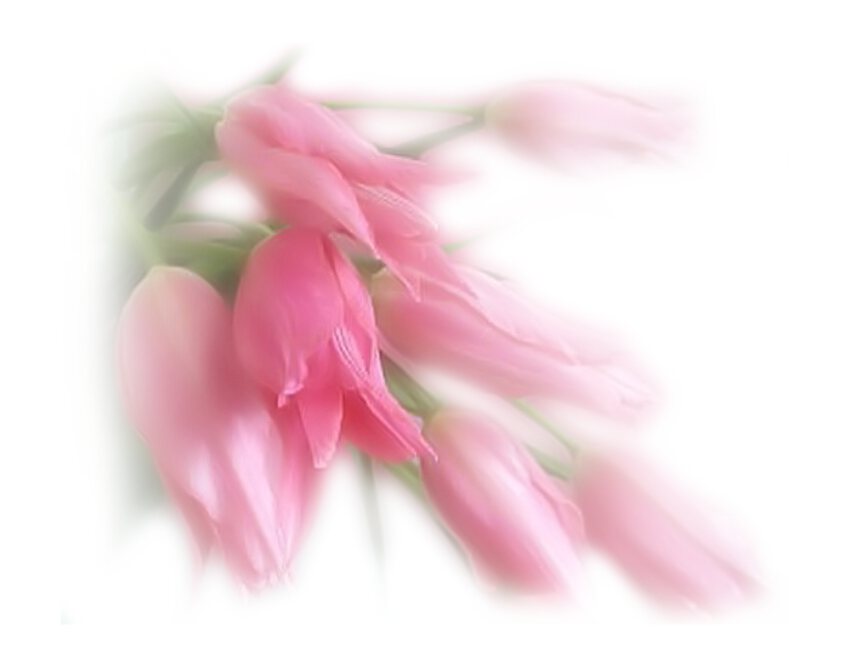 Фото Дом и участок, который снесли