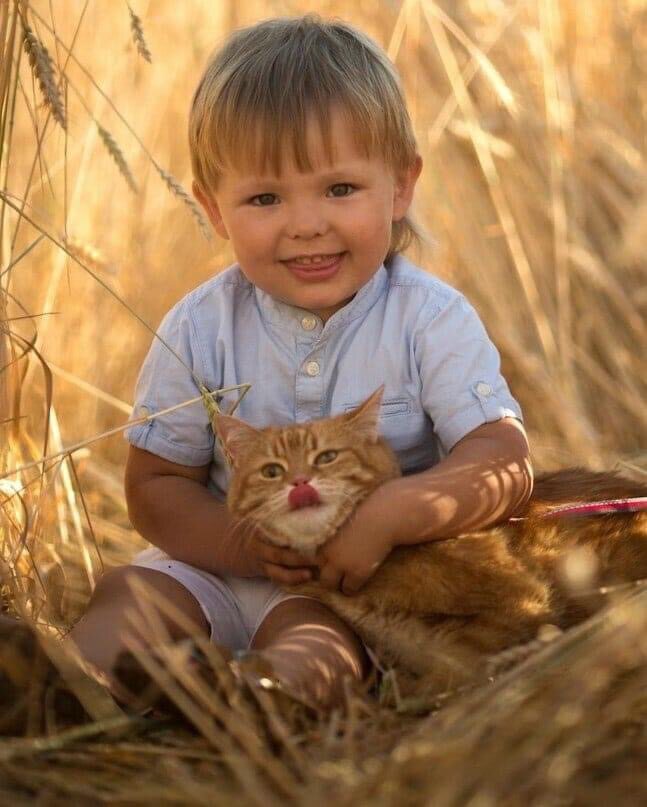 Картинки Поездка на тамвае