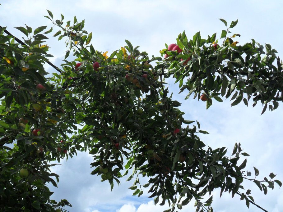 Картинки Лето заметно стремится на убыль,проводы красного лета