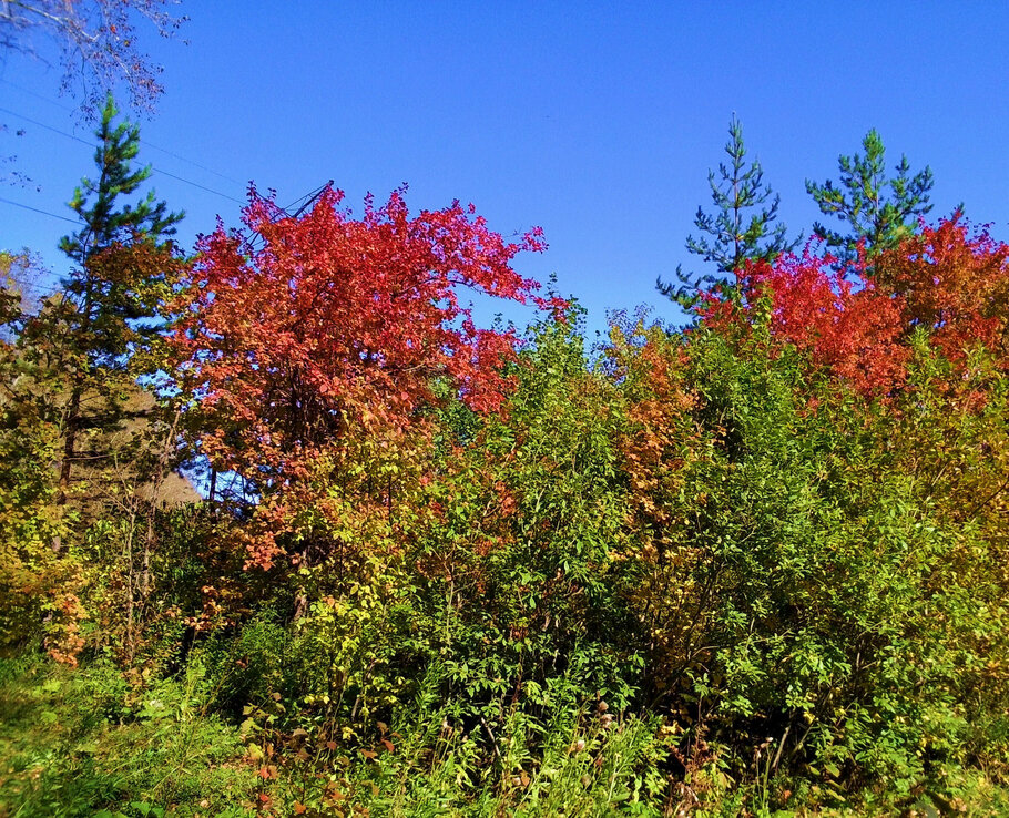 Фото про Сентябрь