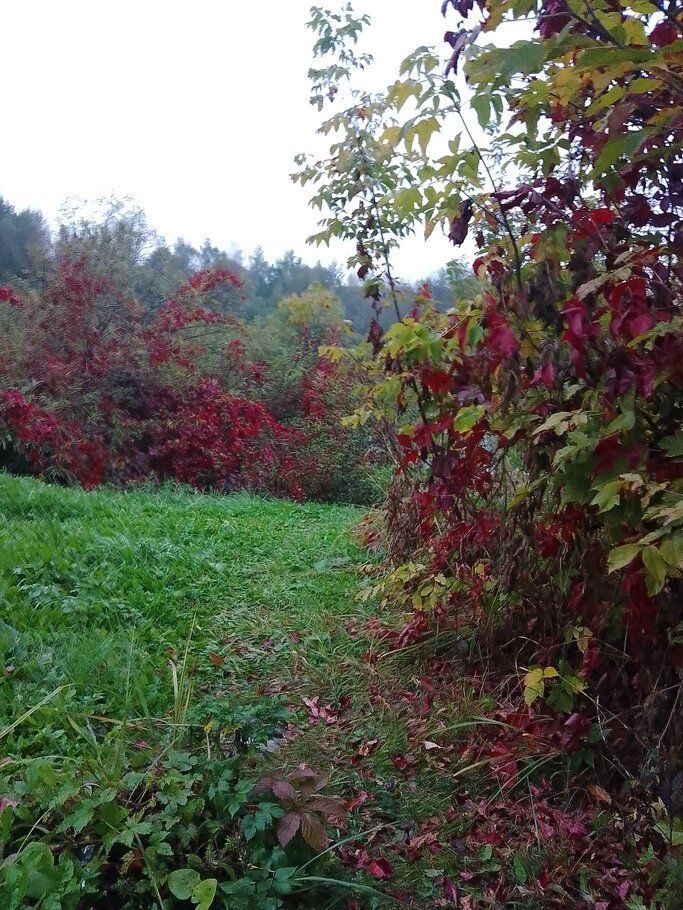 Картинки про Красивеет Отеческий край