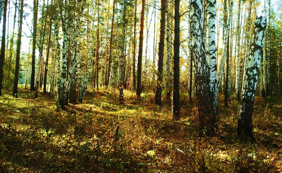 Фото про Октябрь