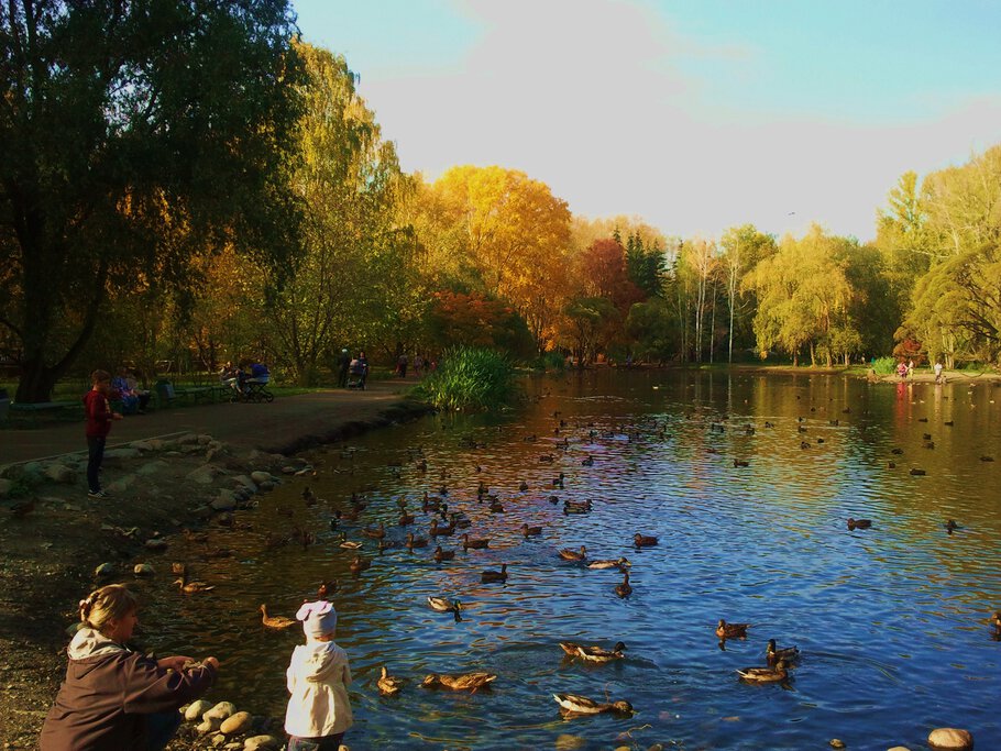 Картинки Осенью у озерца