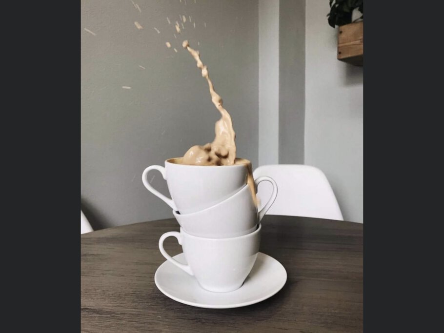 Фото Солнечный кот