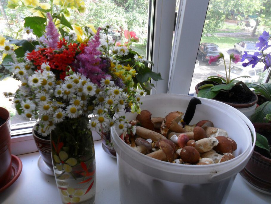 Фото Здравствуй осень моя золотая