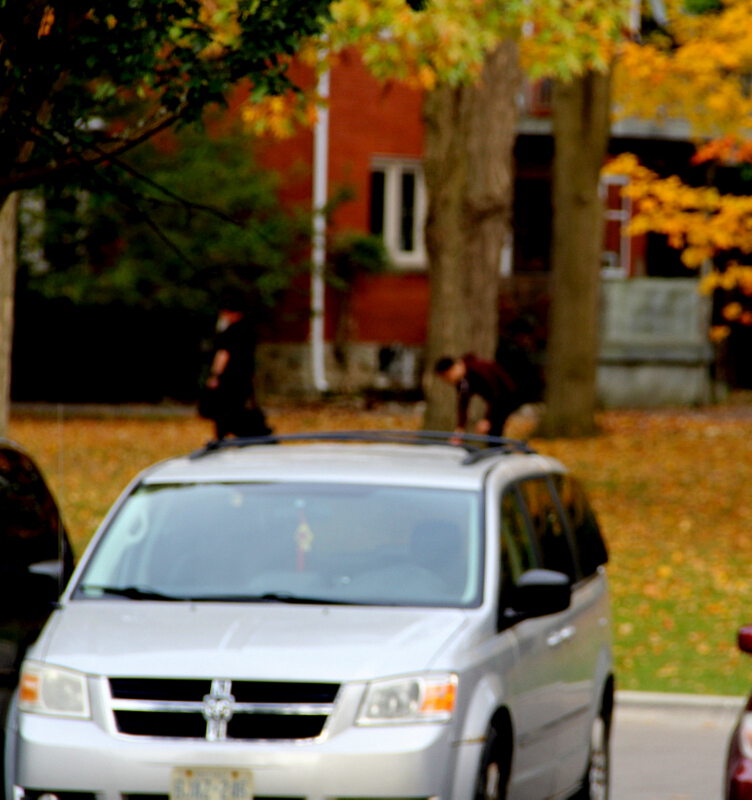 Фото Осенний листопад