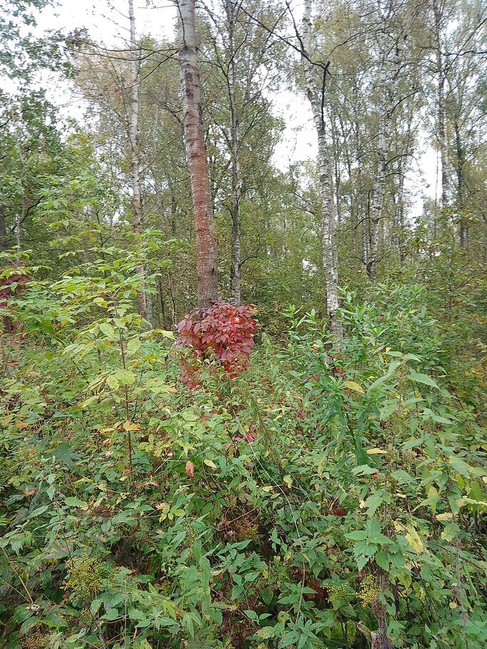 Картинки про Красивеет Отеческий край