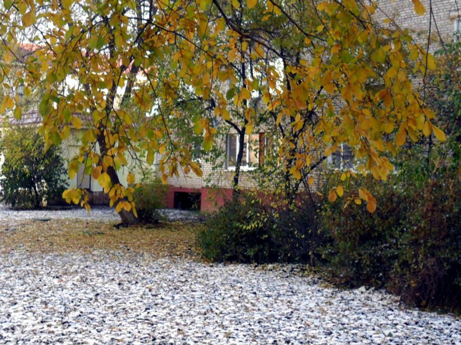 Фото Осеняя палитра октября