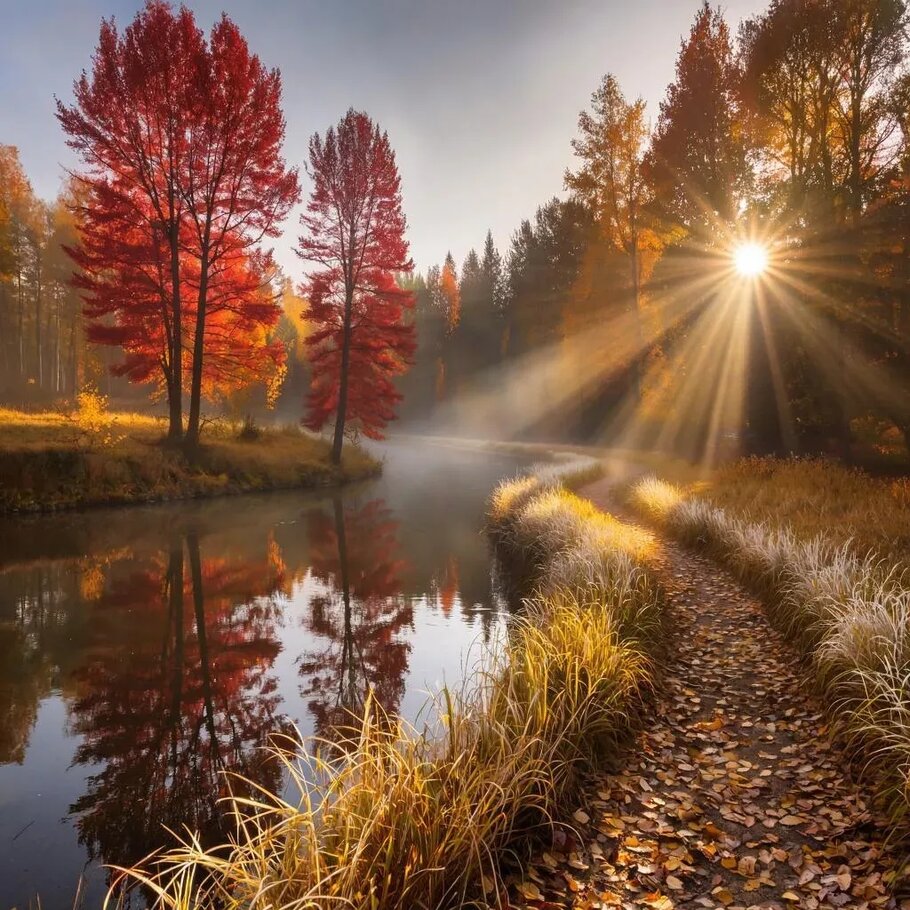 Фото про Предзимье.Глубокая осень