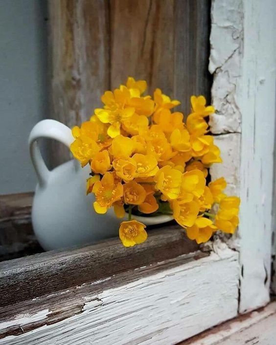 Картинки Успех имеет лицо матери. Берт Хеллингер