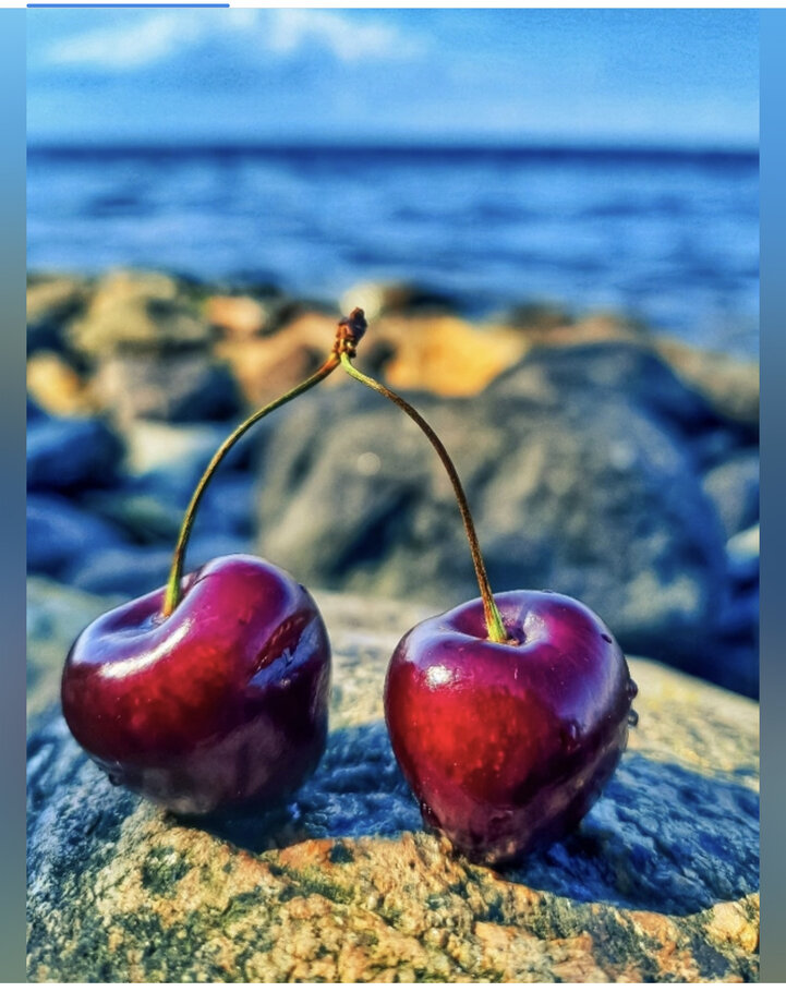 Фото Флорибунда в оранжево-белом