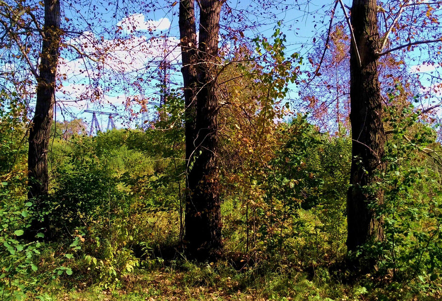 Фото Сентябрь