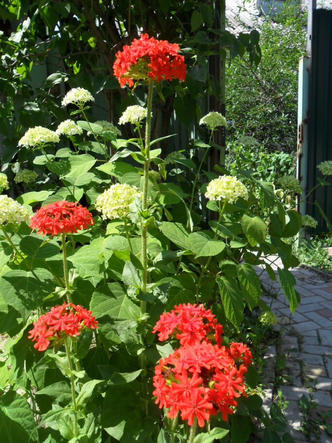 Картинки В окружении красоты