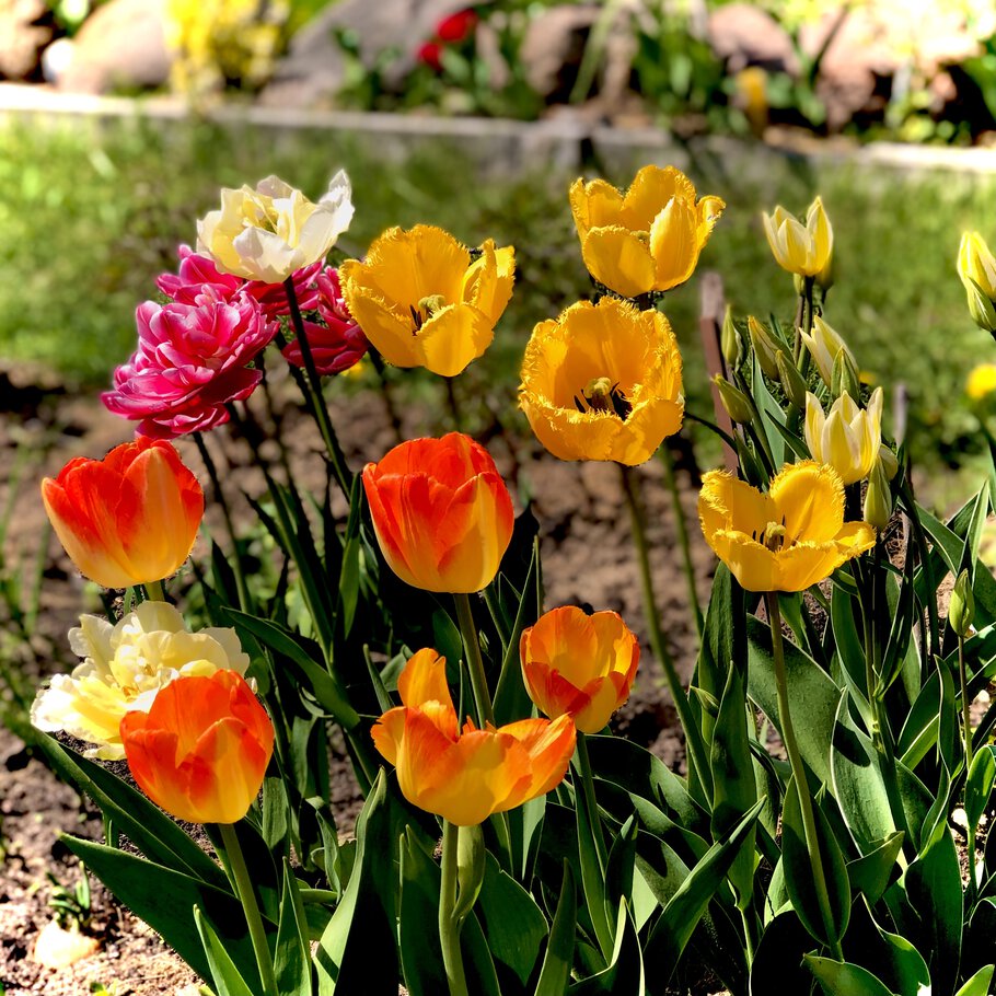 Фото про Обновление