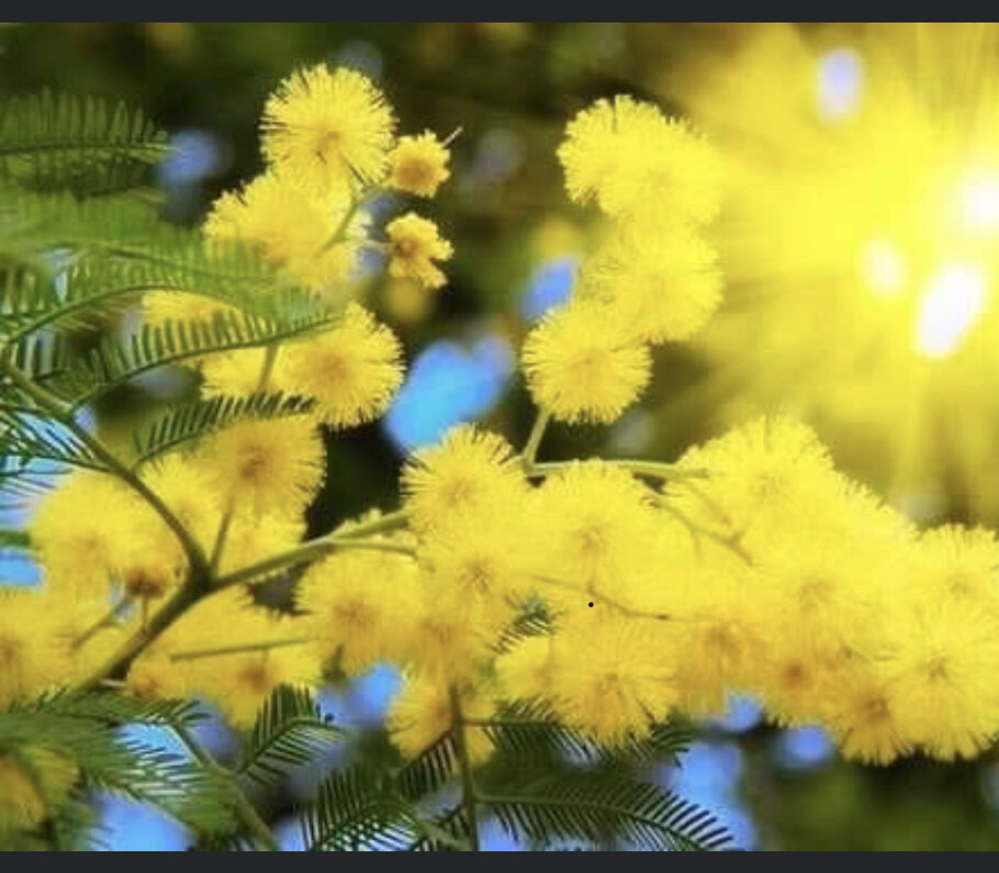 Фото В поисках Истины