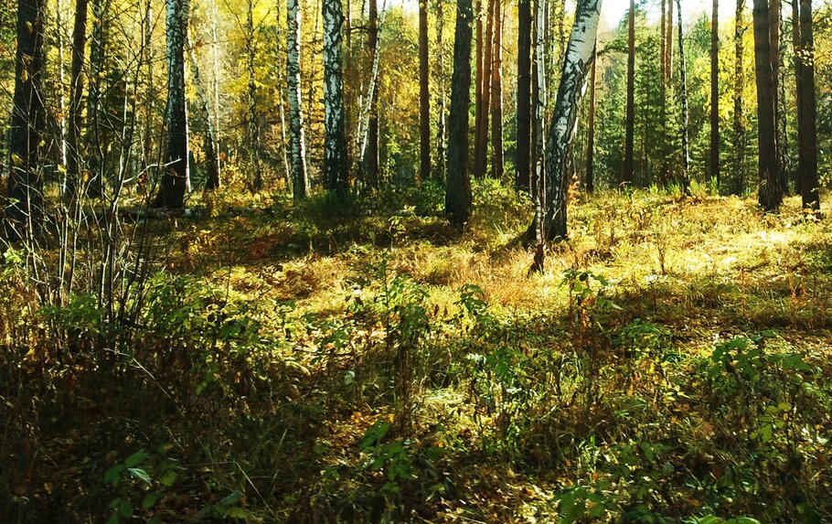 Фото Октябрь