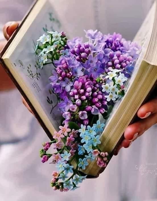 Фото Перекресток