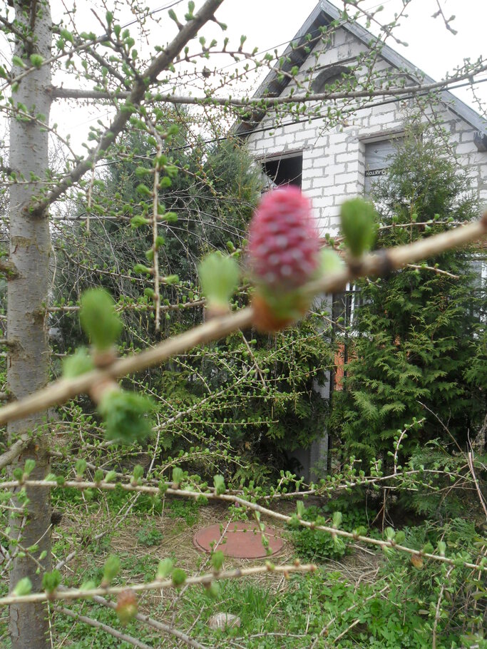 Фото про Der April,den April,was er will ?