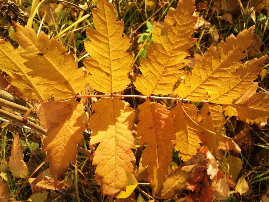 Картинки Октябрь