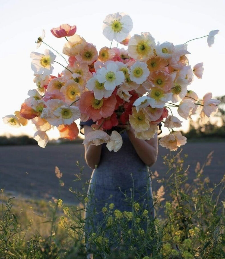 Фото Однажды... я видела это во сне