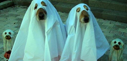 Фото Вирус нипочём