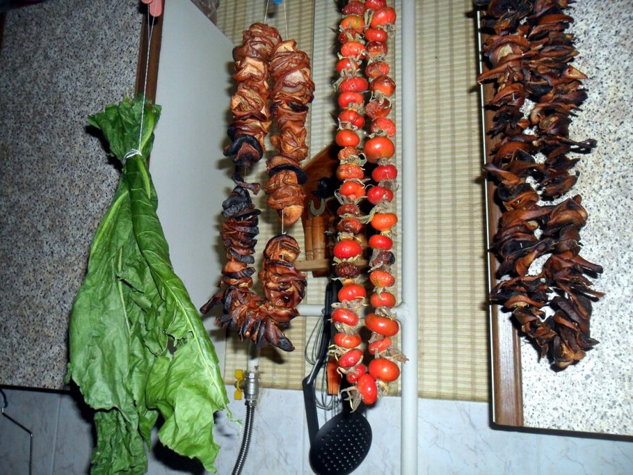 Фото Душистые чайные розы