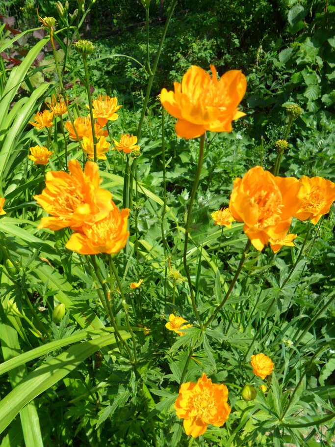 Фото про В окружении красоты