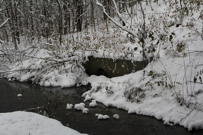 Картинки Морозный солнечный денёк