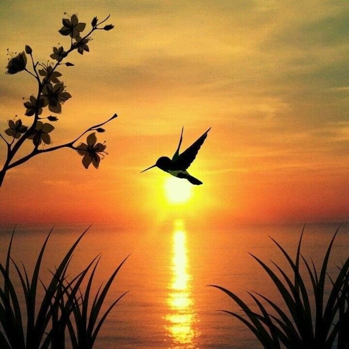 Фото Успех имеет лицо матери. Берт Хеллингер