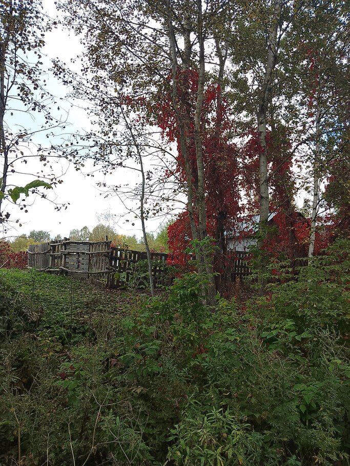 Картинки Красивеет Отеческий край