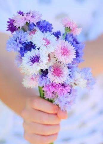 Фото А зима обещает быть долгой