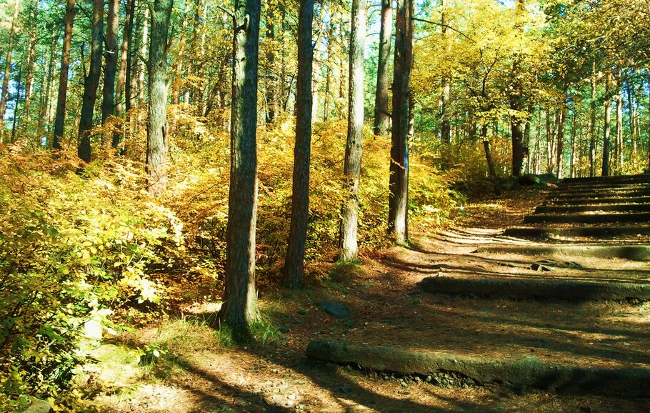 Картинки Осенний уголок