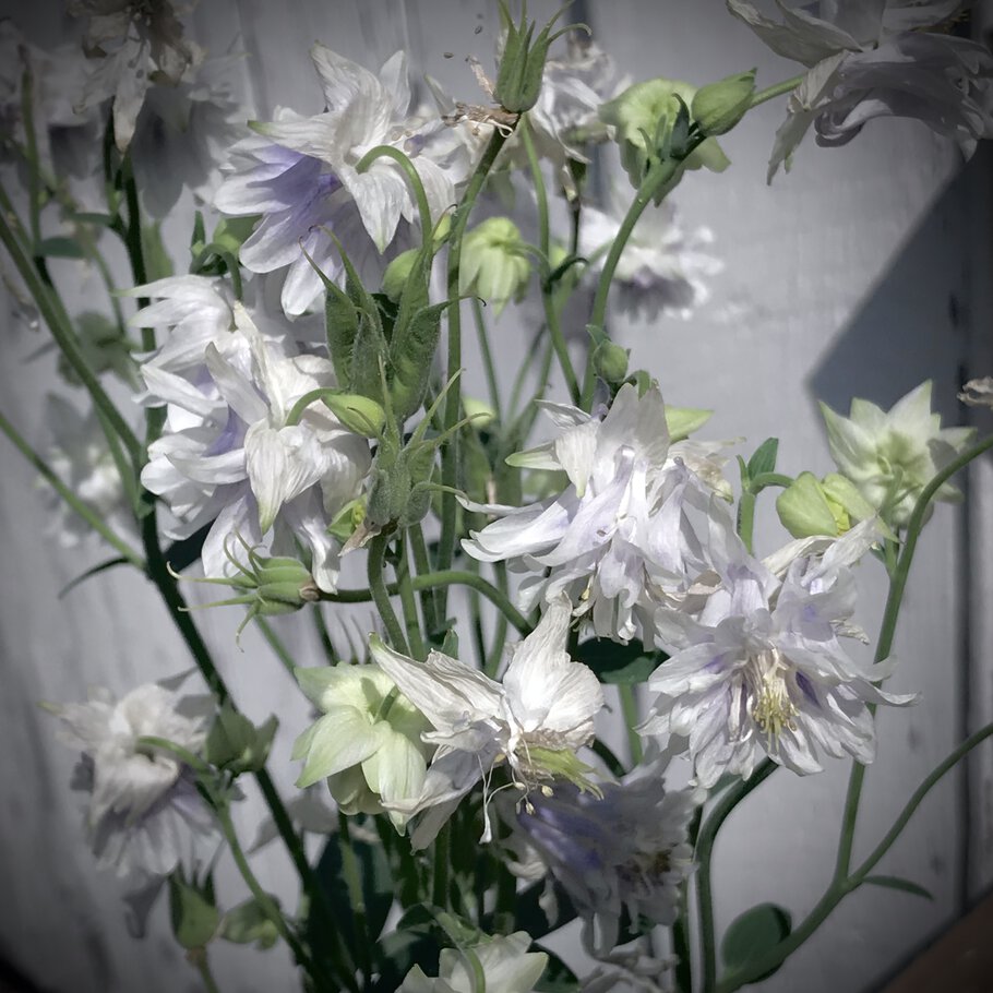 Картинки Капли дождя