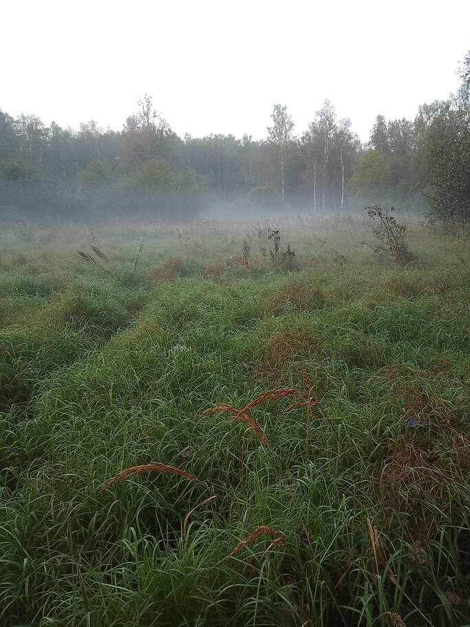 Картинки Красивеет Отеческий край