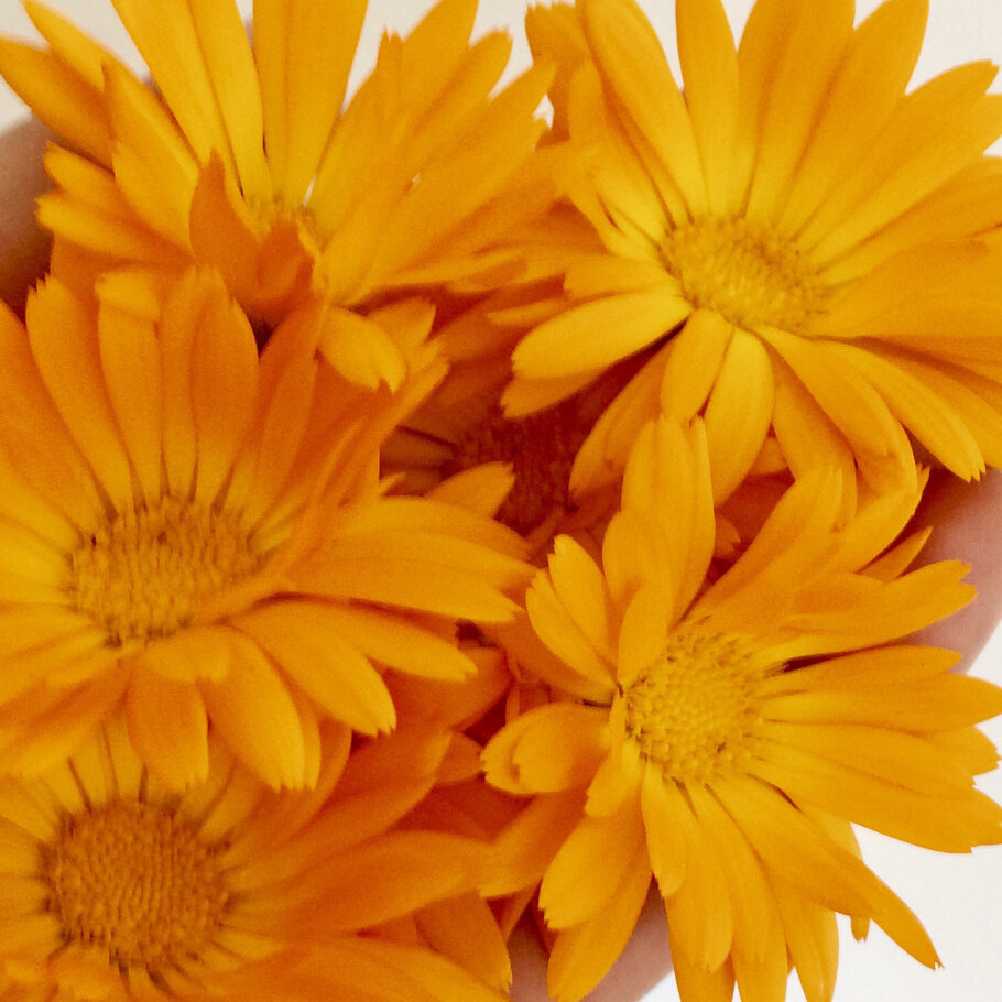 Фото Нет безвыходных ситуаций