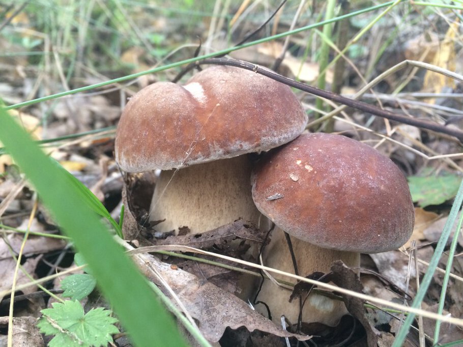 Фото Осенние зарисовки