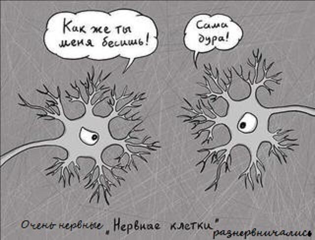 Фото Смешные карикатуры