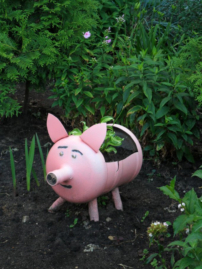 Картинки Душистые чайные розы