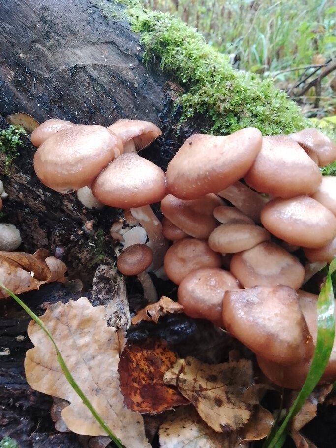 Фото про Красивеет Отеческий край