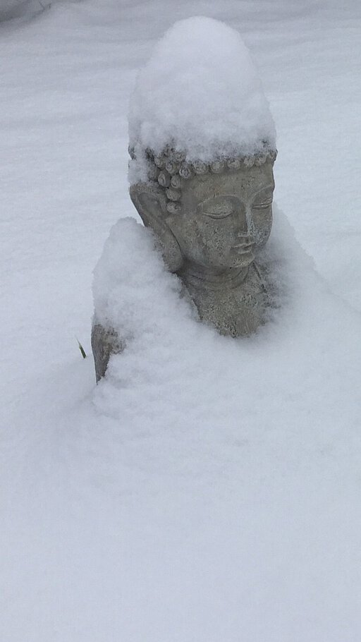 Фото Завтра 1-ое декабря