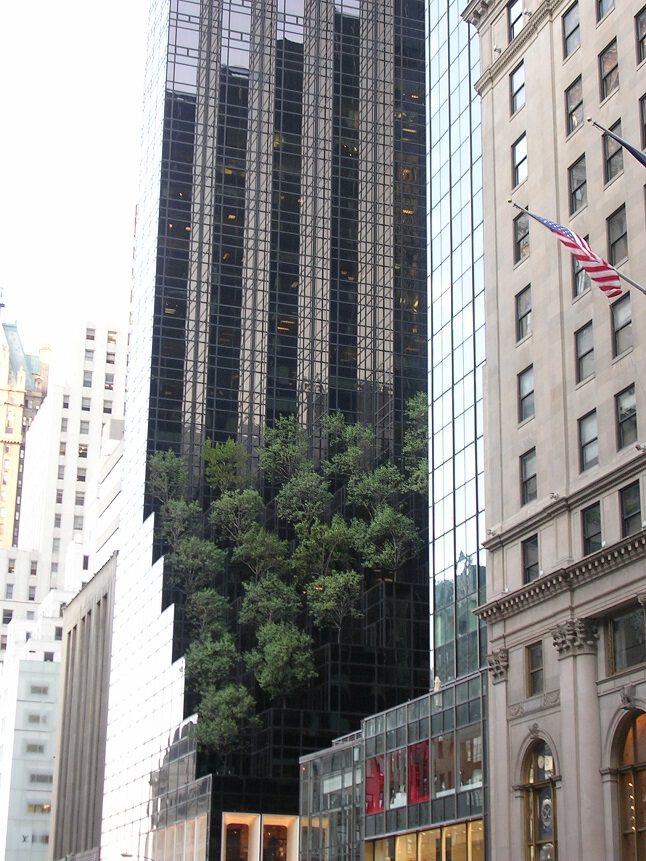 Фото про Моя точка обозрения