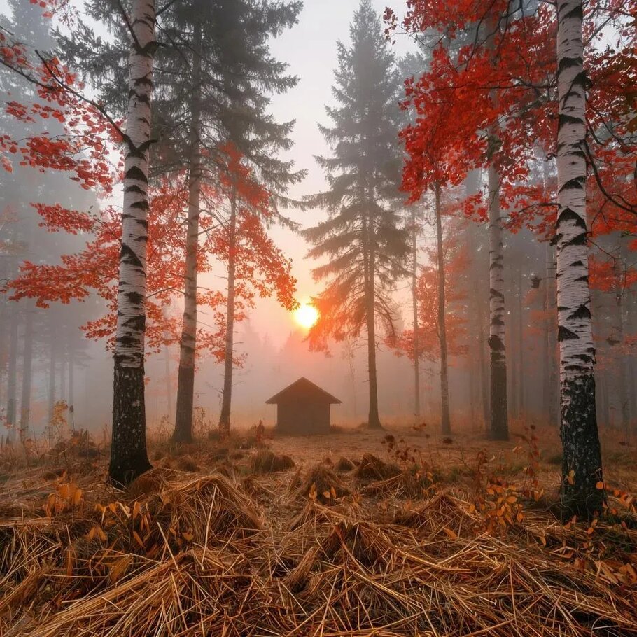 Картинки про Предзимье.Глубокая осень