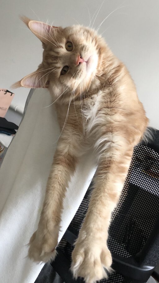 Фото Хочу дом в деревне